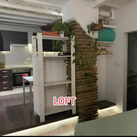 Loft Increible En El Centro
